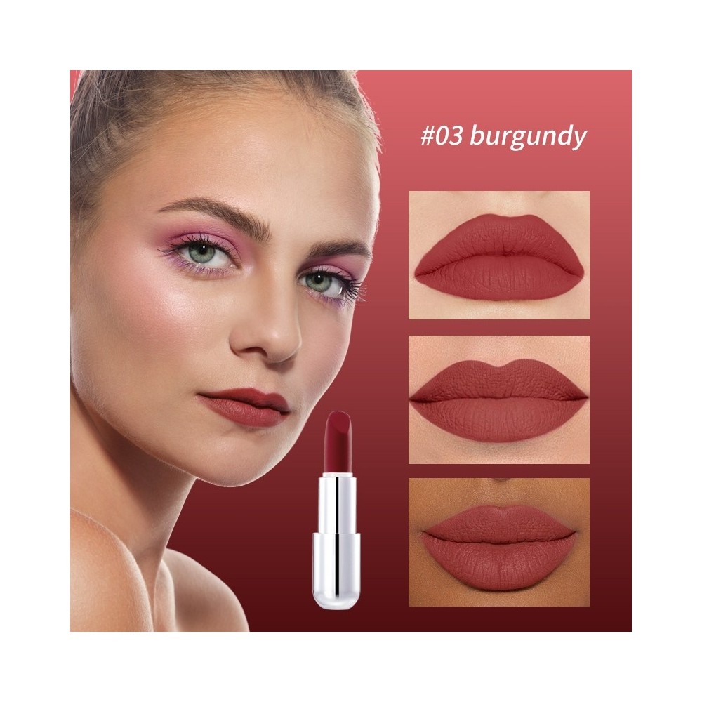 Rouge à lèvres en velours mat végétalien naturel imperméable longue durée de haute qualité